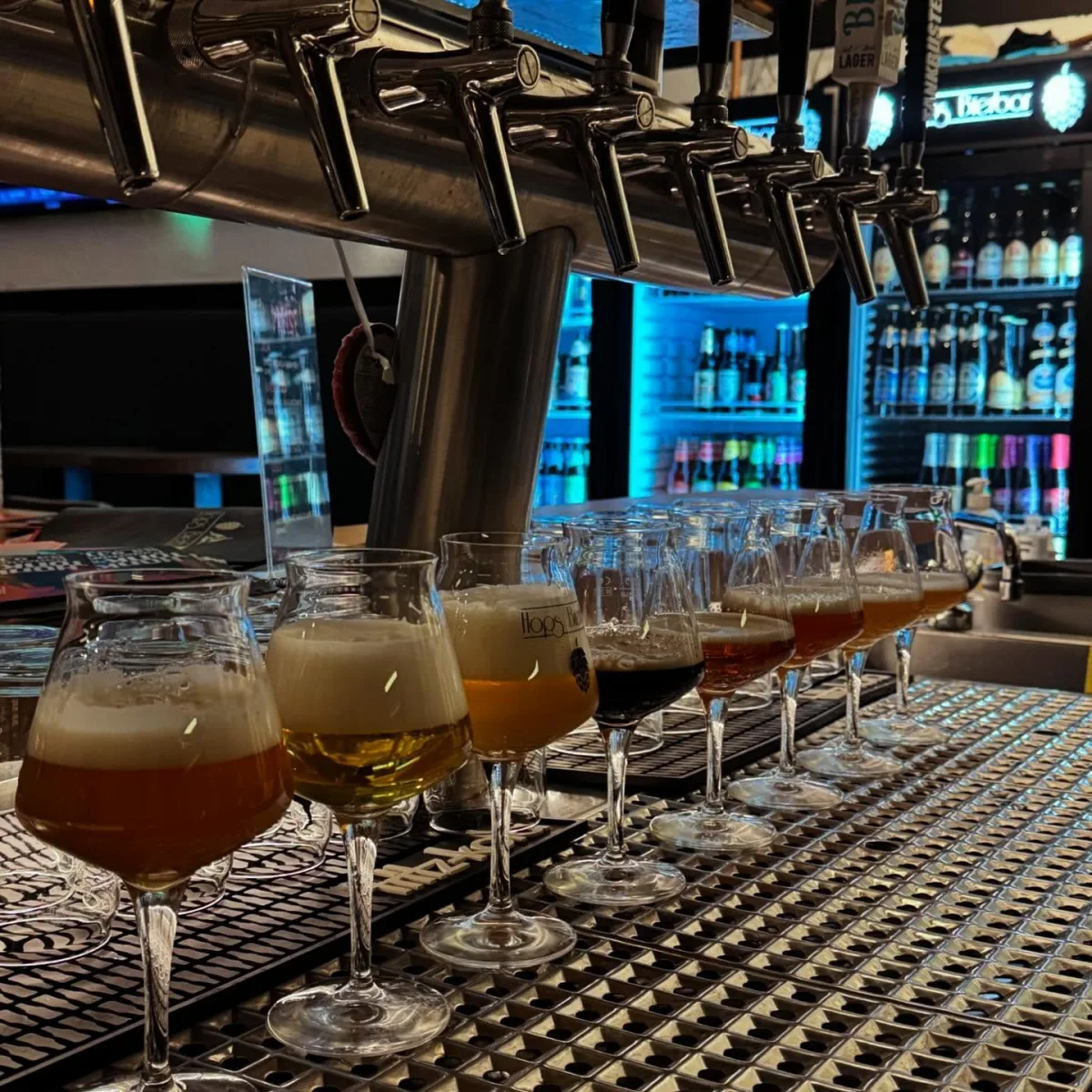 Hops Bierbar in Paderborn
